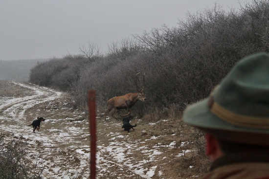 Atmosféra zo spoločnej polovačky