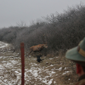 Atmosféra zo spoločnej polovačky