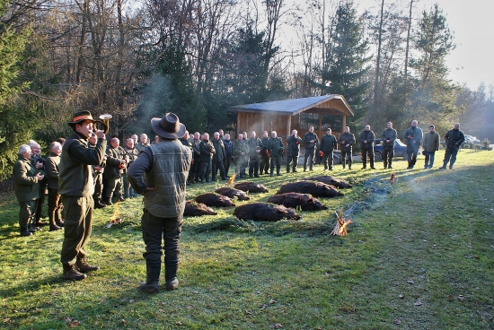 Poctu poslednú skaldáme zveri ...