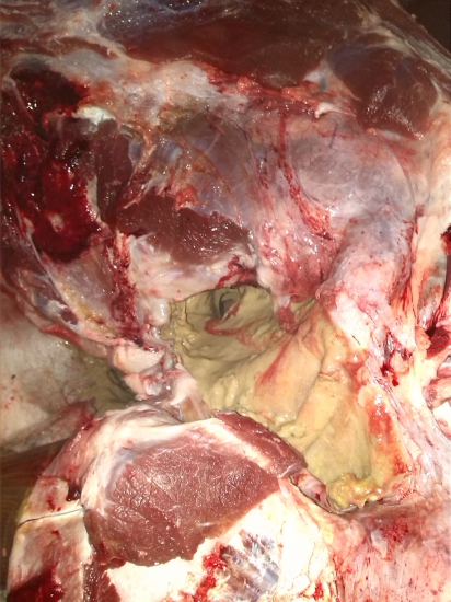 Stretli ste sa s niečim podobným .. ?