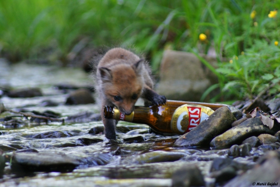 Tak toto  pivo je moje !