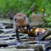 Tak toto  pivo je moje !