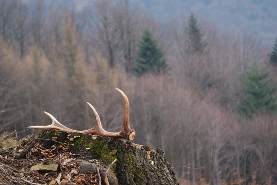 Konečne čerstvý !