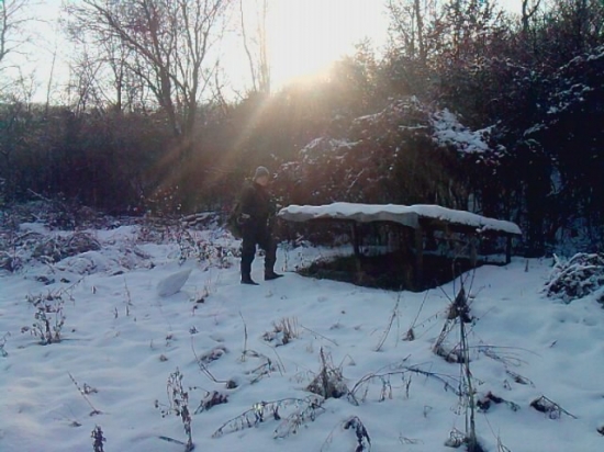 Dnesne prikrmovanie.