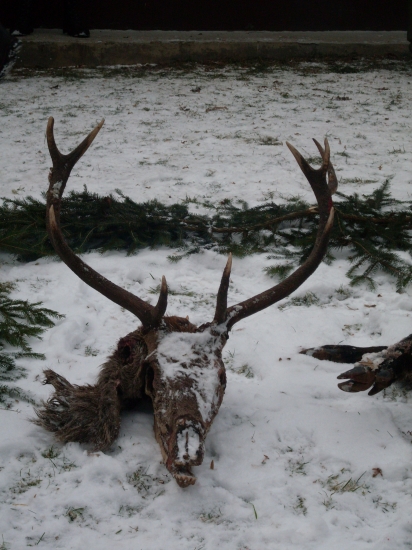 Dnes ho otec nasiel v pohone.