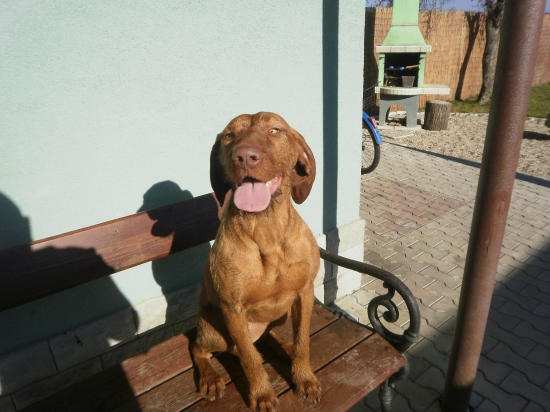 Dnešný slnečný deň