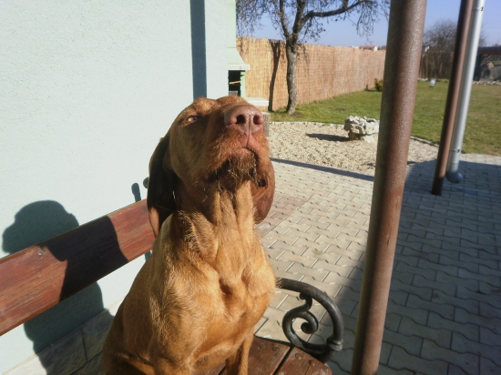 Dnešný slnečný deň.