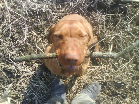 Včerajšia prechádzka.