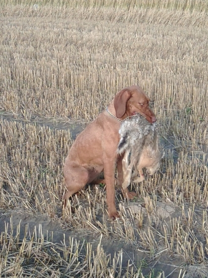 dnešny vycik na jesenky