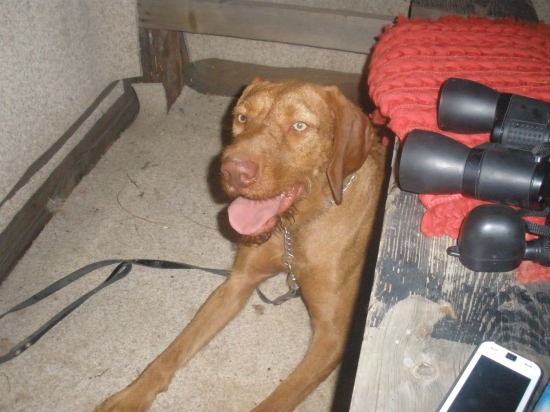 Na posede s mojím spoločníkom!!!