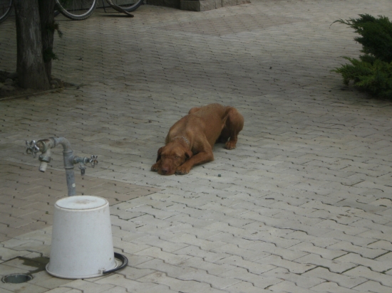 Prečo tu musím byt? :-)