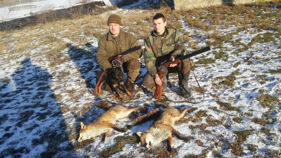 Piatkove norovanie v kozli.