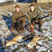 Piatkove norovanie v kozli.