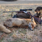 Na rannej postriežke