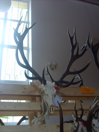 Trofej z okresu Žilina