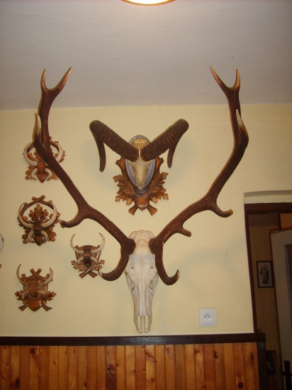 Otcov najsilnejší jeleň a muflón