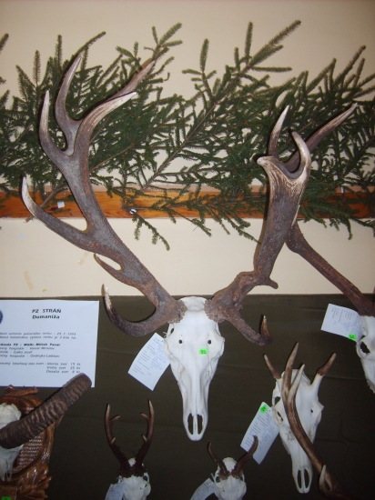 škoda že si zničil paroh