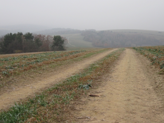Už som išiel domov ruky vo vrecku a zrazu!!