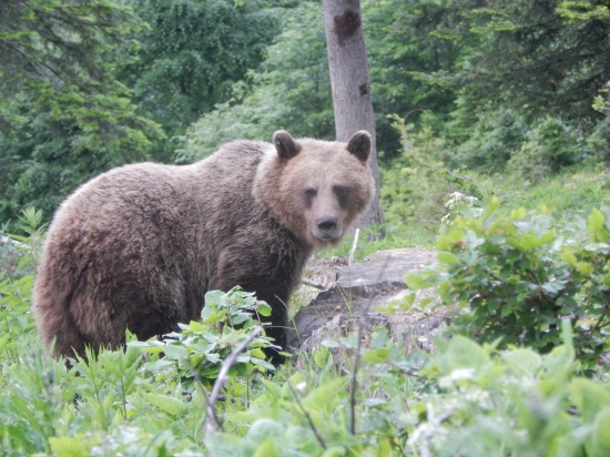 ...žeby nás zbadal?