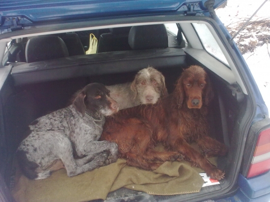 ...moje kamarátky :-)