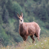 Setkání na chodníku