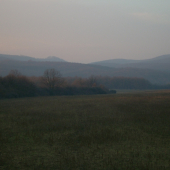 V revíri