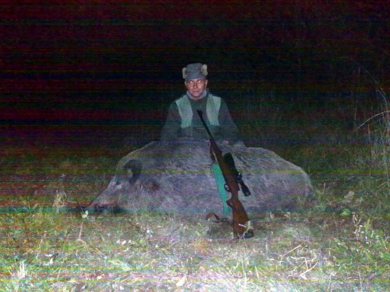 diviačik