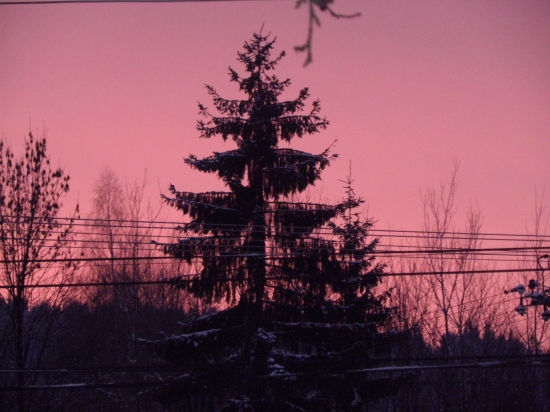 Pink...