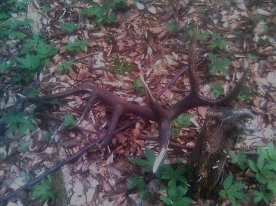 hladá sa pár okolie bardejova