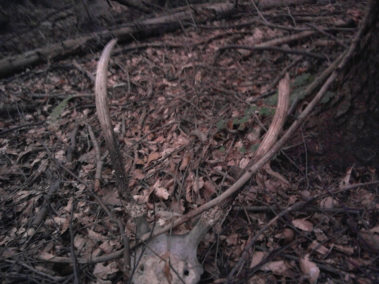 Znovu nepekný nález