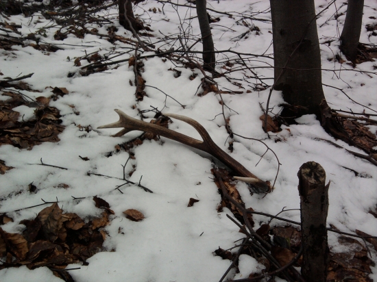 Podvečerná prechádzka :)