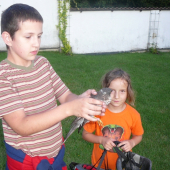 poštolka se mnou a mojí sestrou