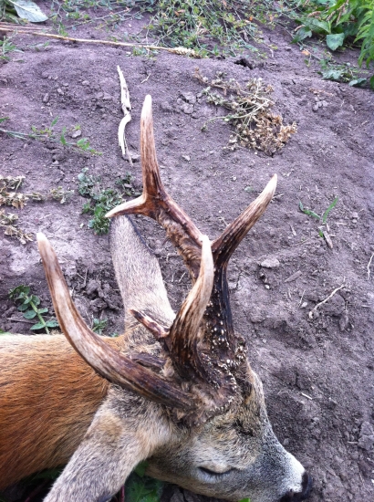 Keď sa štastie unaví ... detail