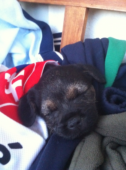 unaveny hokejovy fanusik