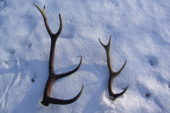 Dneštny krasny den :D