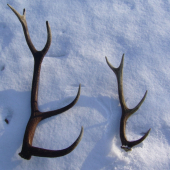 Dneštny krasny den :D