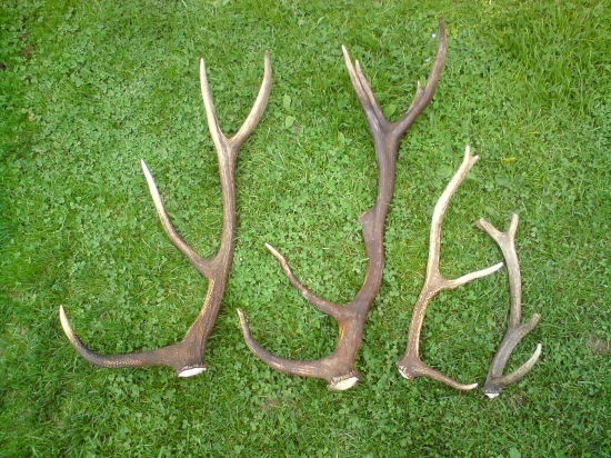 Dnesna velkonocna prechadzka