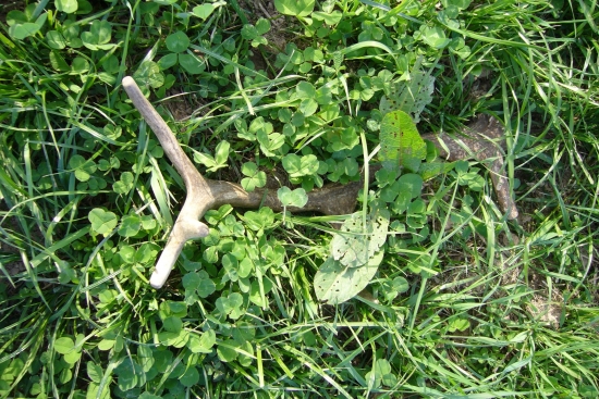 Takto som ho našiel