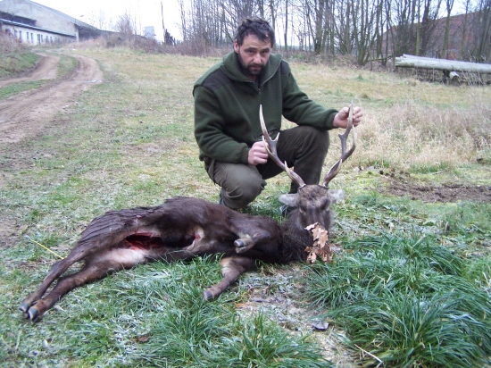sika