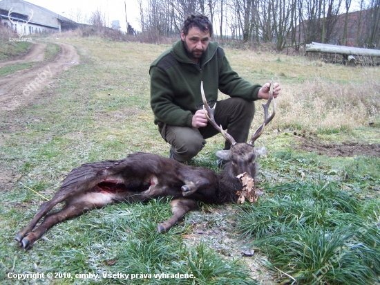 sika