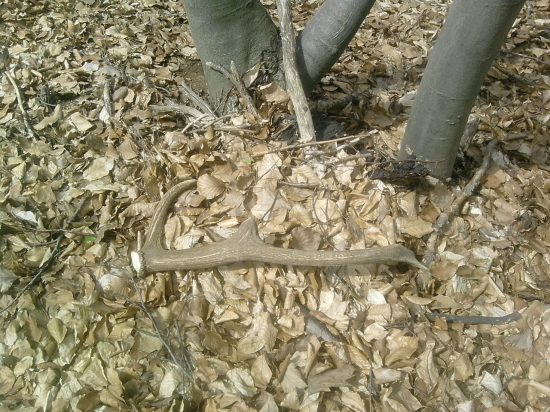 konečne po dvoch tyždnoch :)