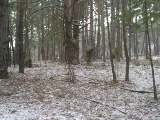 kerí dilino tam može krmit :)