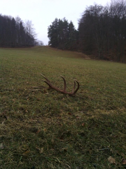 ked sa mi ráno chcelo ísť na zhody :)