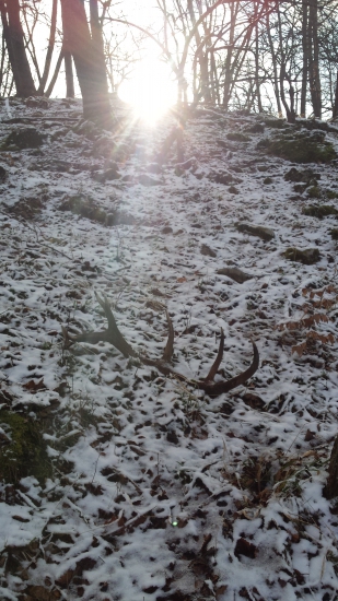 ten neopisatelny pocit pri prvom pohlade