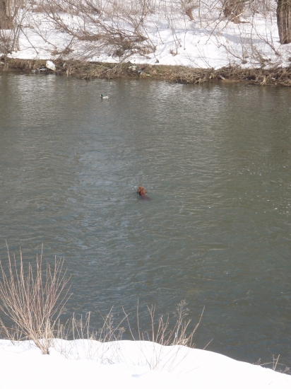 SUSTREDENA NA ROBOTU