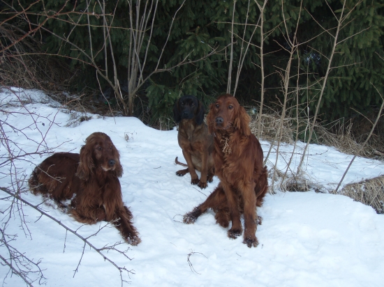 naši verny pomocnici