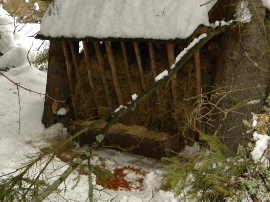 vysledok našej prace