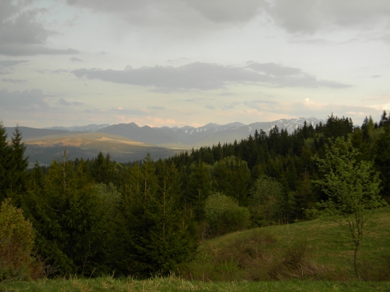 panorama