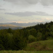 panorama