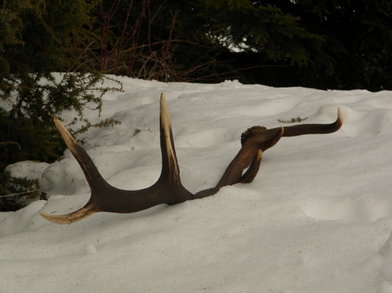 dnes presne pred rokom